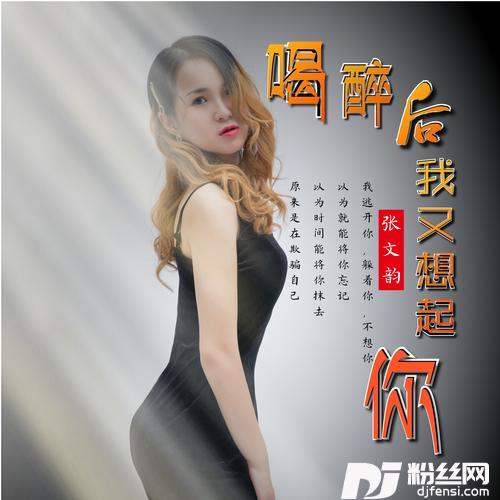 喝醉后我又想起你的专辑