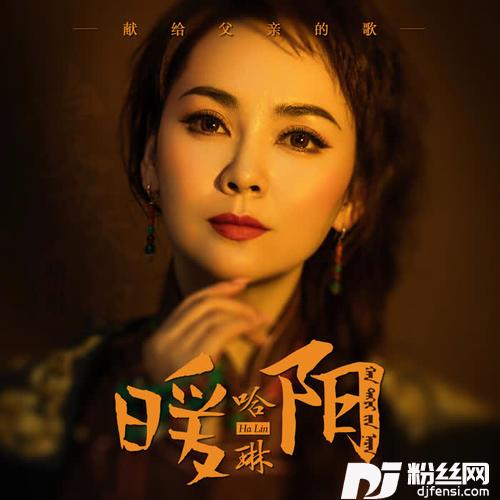 暖阳汉语版