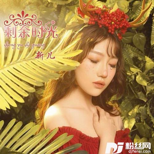 剩余时光DJ版的专辑