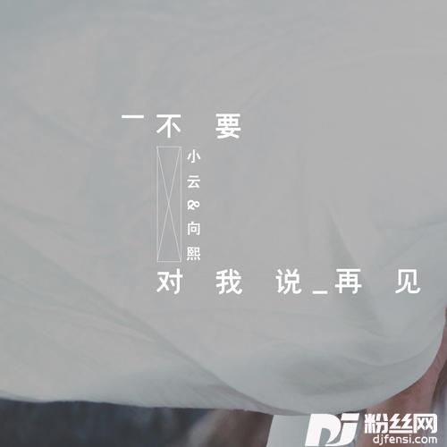 不要对我说再见