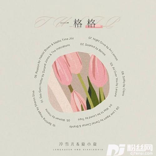 一格格的专辑