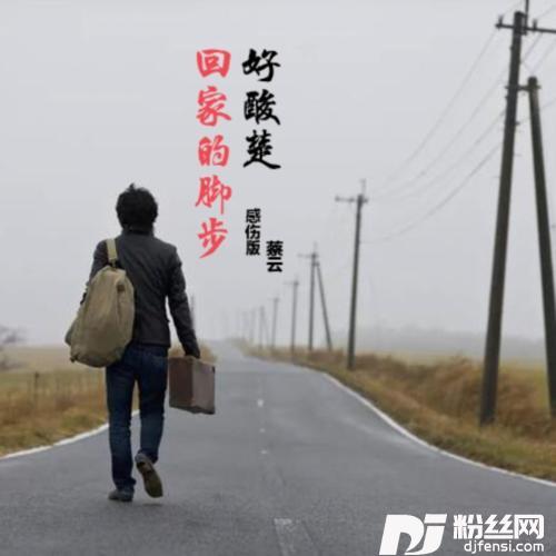 回家的脚步好酸楚cover:李英的专辑