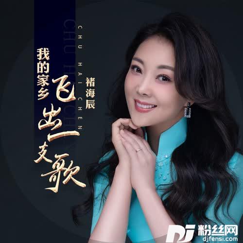 我的家乡飞出一支歌