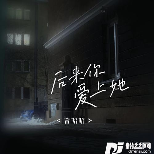 后来你爱上她的专辑