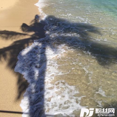 我照单成全DJ版