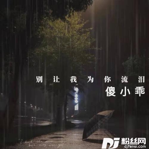 别让我为你流泪其他