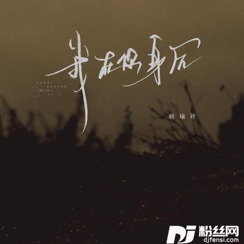 我在你身后emo版