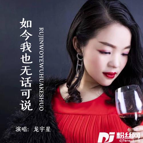 如今我也无话可说