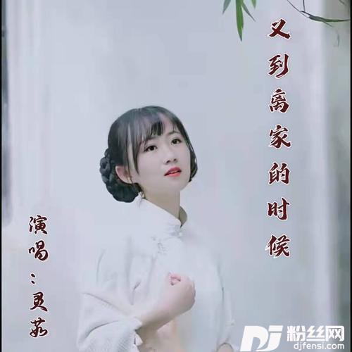 又到离家的时候（女声DJ版）的专辑