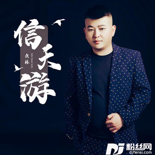 信天游DJ范小松版的专辑