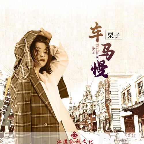 车马慢DJ版