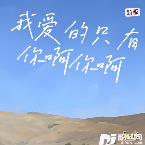 我爱的只有你啊你啊新版的专辑