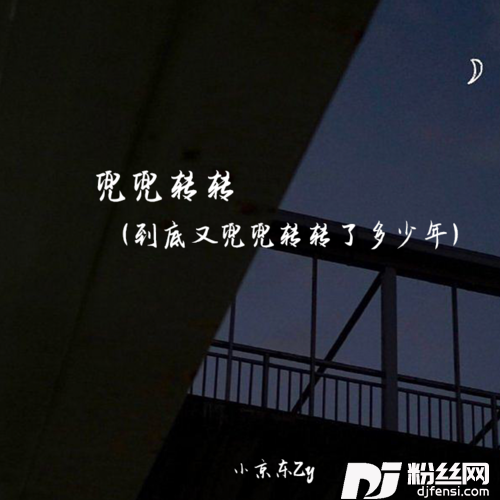 兜兜转转到底又兜兜转转了多少年的专辑