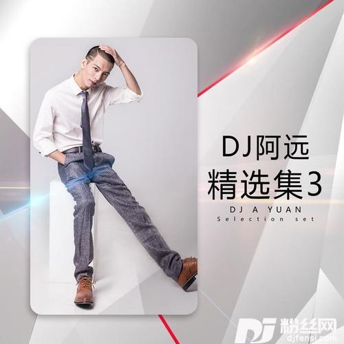 不是我不爱你DJ版