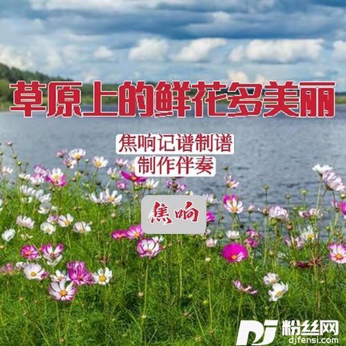 草原上的鲜花多美丽cover:连小凤