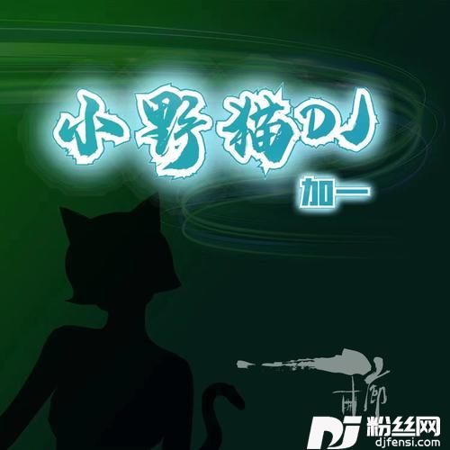 小野猫（DJ默涵版）的专辑
