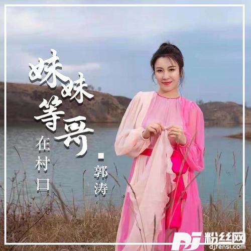 妹妹等哥在村口的专辑
