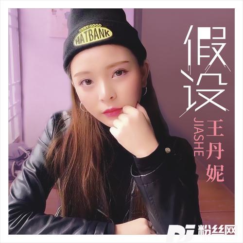 假设的专辑