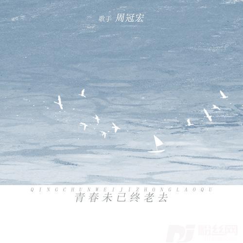 青春未已终老去
