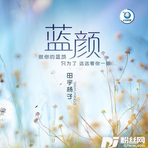 你会在哪里