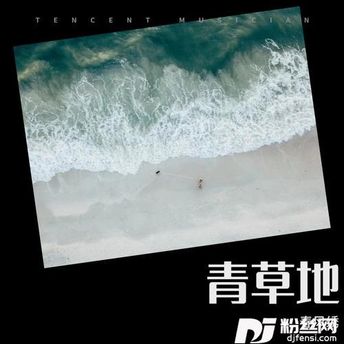 青草地的专辑