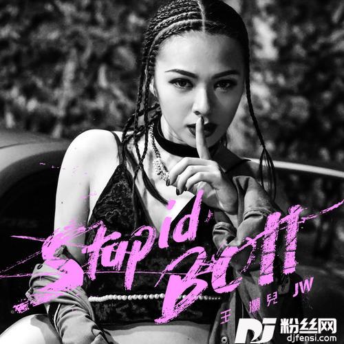 StupidBoii的专辑