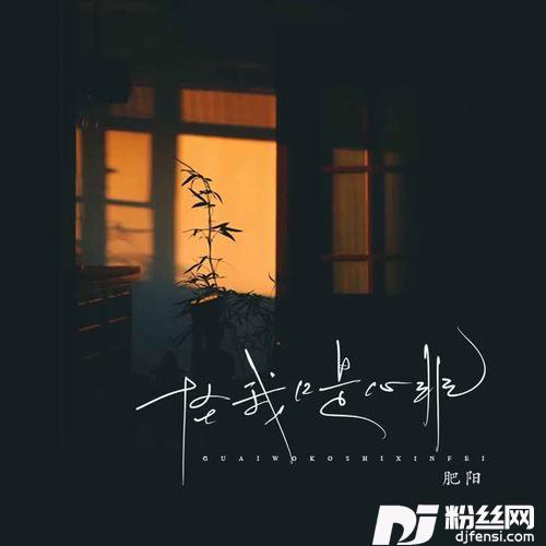 怪我口是心非的专辑