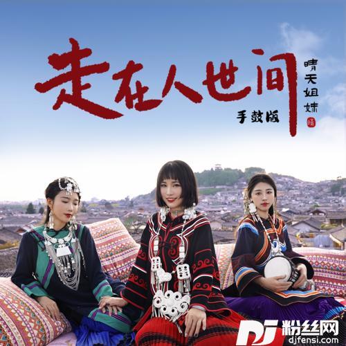 走在人世间手鼓版