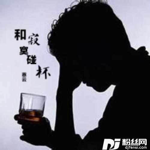 和寂寞碰杯的专辑