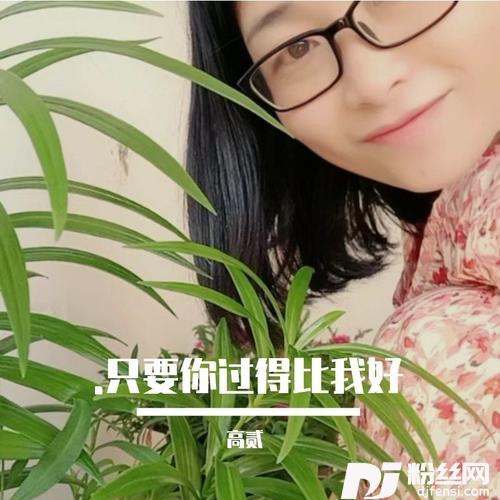 只要你过得比我好高贰remix