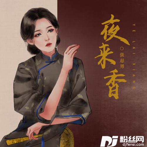 夜来香DJ范小松版