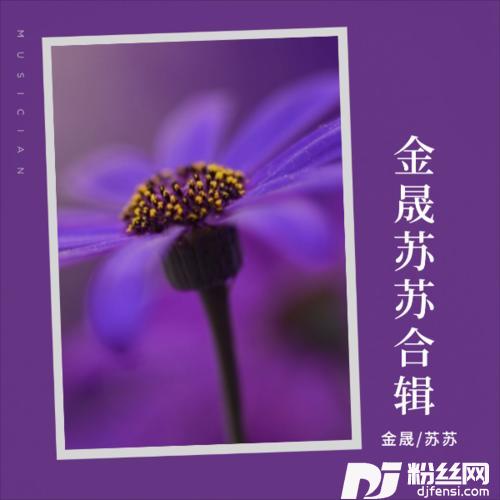 灯火cover:陈瑞