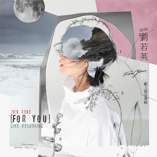 后来的专辑
