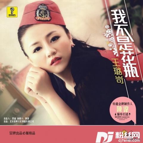 我不是花瓶DJ何鹏版的专辑