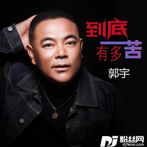 到底有多苦DJ何鹏版的专辑