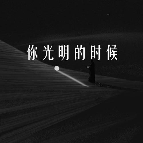 你光明的时候的专辑