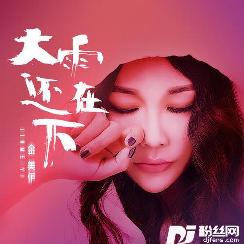 大雨还在下女声舞曲版