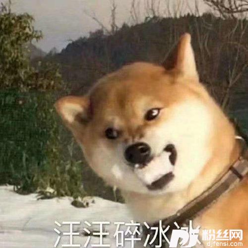 你不明白cover:joysaaaa的专辑