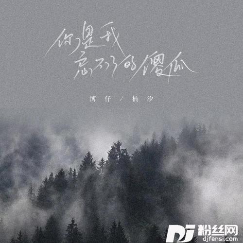 你是我忘不了的傻瓜