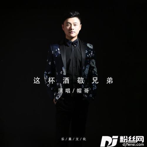 这杯酒敬兄弟的专辑