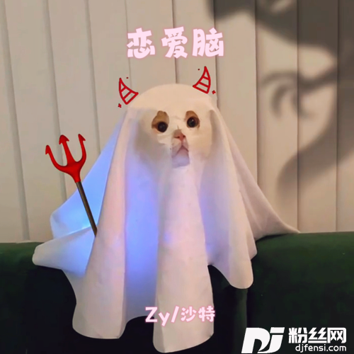恋爱脑的专辑