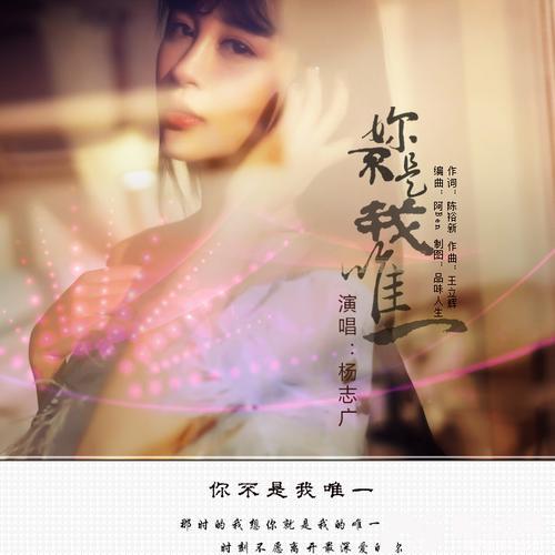 你不是我唯一