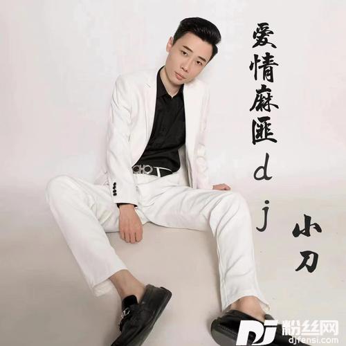 爱情麻匪-DJ默涵版