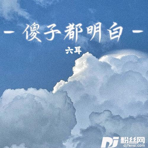 傻子都明白