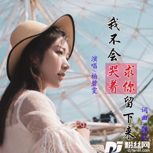 我不会哭着求你留下来（DJ小魏版）