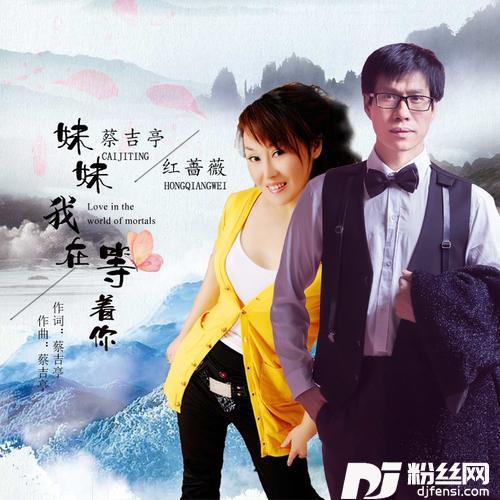 妹妹我在等着你（DJ版）