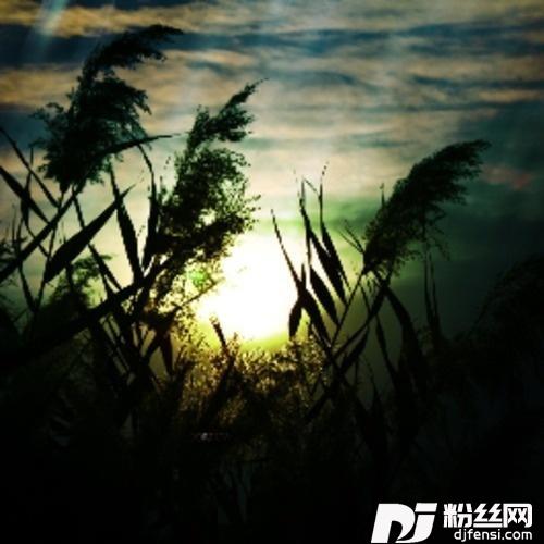 ComingHomeA.N.O.Remix的专辑