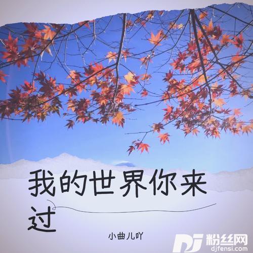 她才是你想过的余生cover:大美