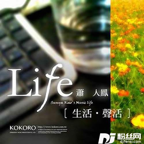 青青校树的专辑
