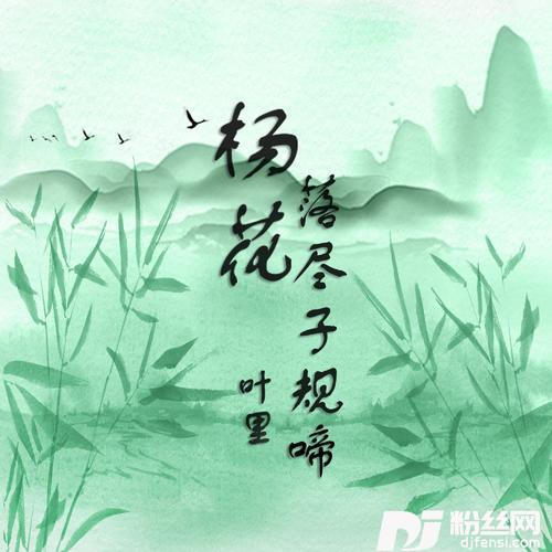 杨花落尽子规啼
